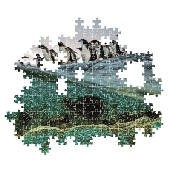 Clementoni National Geograpic Collection Penguins (1000 Brikker)